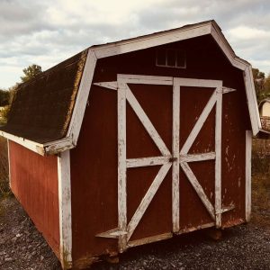 buying a used shed
