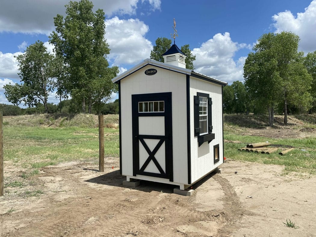C93a6201-6x8-chicken-coop-shed